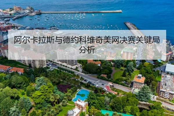 a-er-ka-la-si-yu-de-yue-ke-wei-qi-mei-wang-jue-sai-guan-jian-ju-fen-xi-2-857.jpg