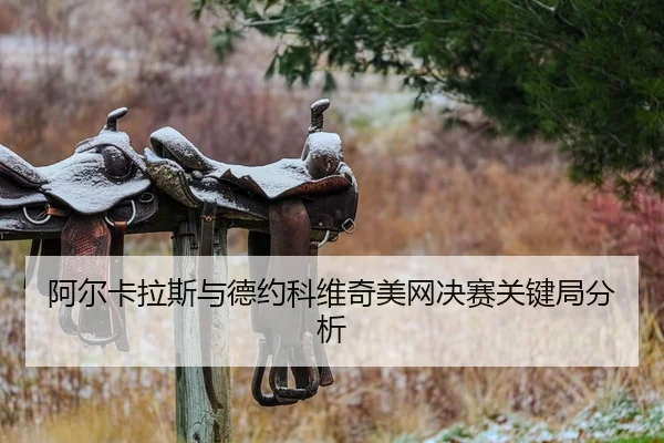 阿尔卡拉斯与德约科维奇美网决赛关键局分析